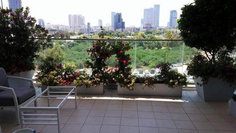 הקמת גינות גג